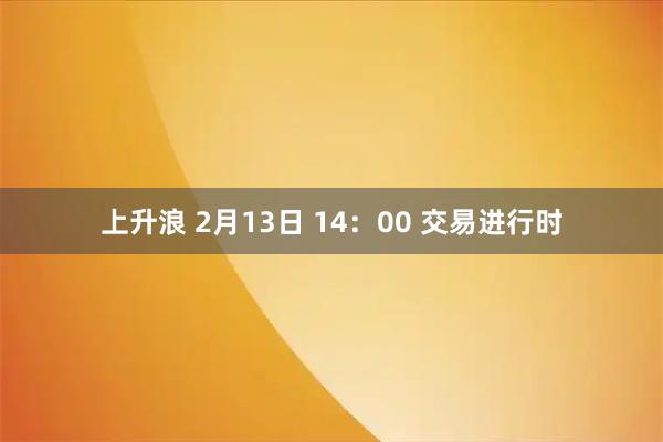 上升浪 2月13日 14：00 交易进行时