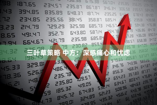 三叶草策略 中方：深感痛心和忧虑